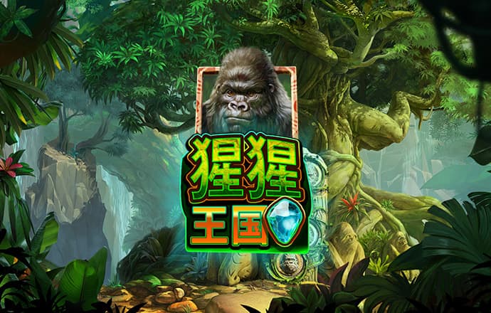 方程式赛车比赛